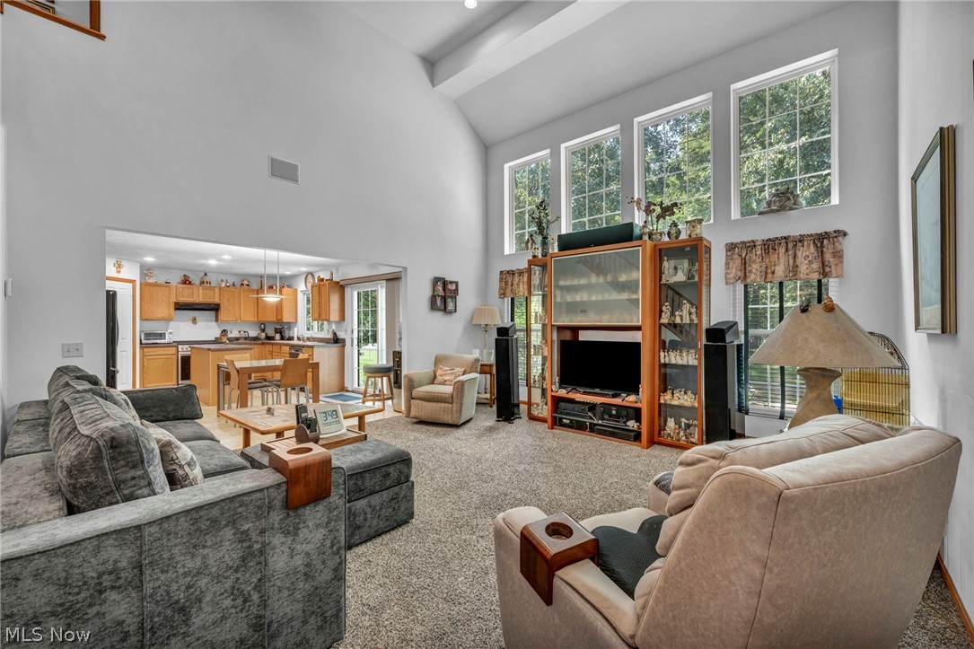 24291 Rushmore Drive Richmond Heights OH 44143