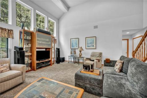 24291 Rushmore Drive Richmond Heights OH 44143