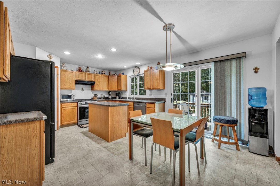 24291 Rushmore Drive Richmond Heights OH 44143