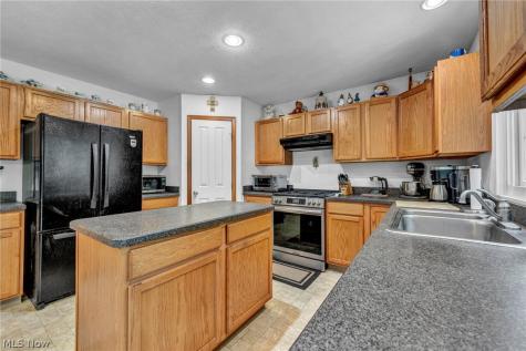24291 Rushmore Drive Richmond Heights OH 44143