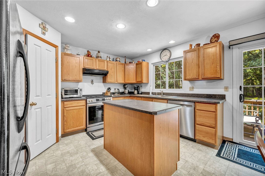24291 Rushmore Drive Richmond Heights OH 44143