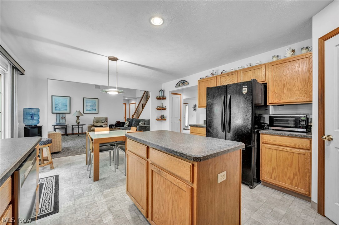 24291 Rushmore Drive Richmond Heights OH 44143