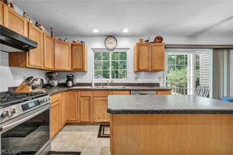 24291 Rushmore Drive Richmond Heights OH 44143