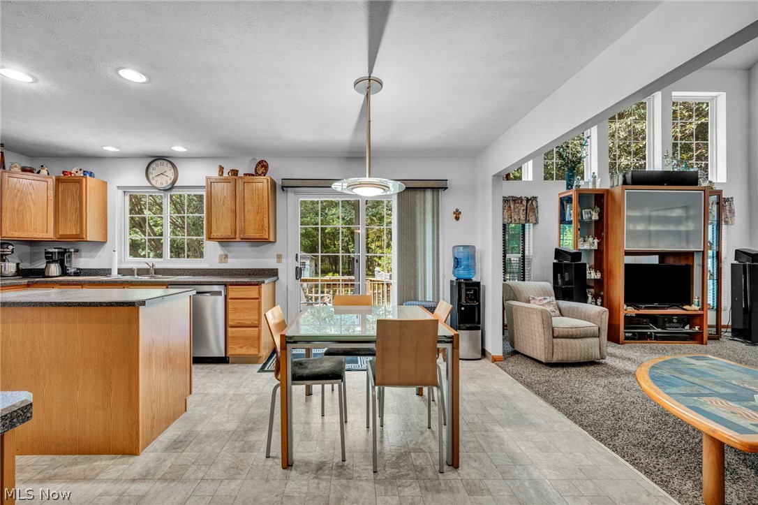 24291 Rushmore Drive Richmond Heights OH 44143