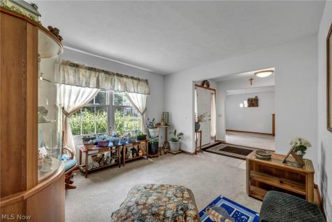 24291 Rushmore Drive Richmond Heights OH 44143
