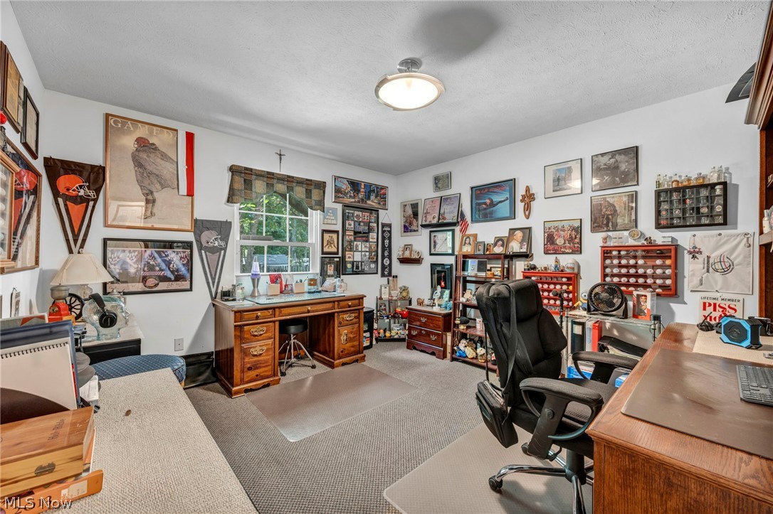24291 Rushmore Drive Richmond Heights OH 44143