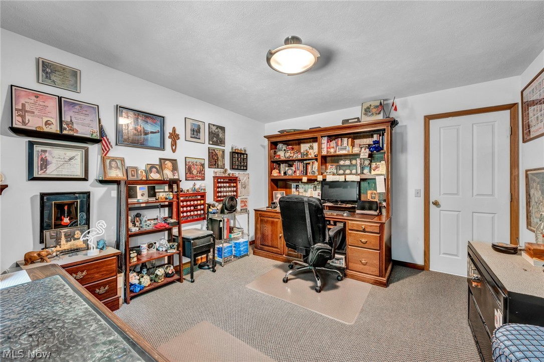 24291 Rushmore Drive Richmond Heights OH 44143