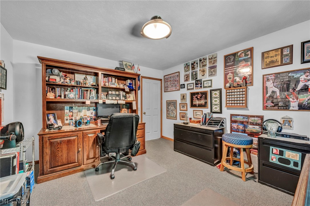 24291 Rushmore Drive Richmond Heights OH 44143