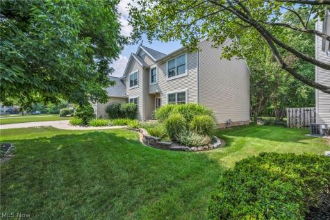 24291 Rushmore Drive Richmond Heights OH 44143