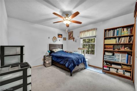 24291 Rushmore Drive Richmond Heights OH 44143