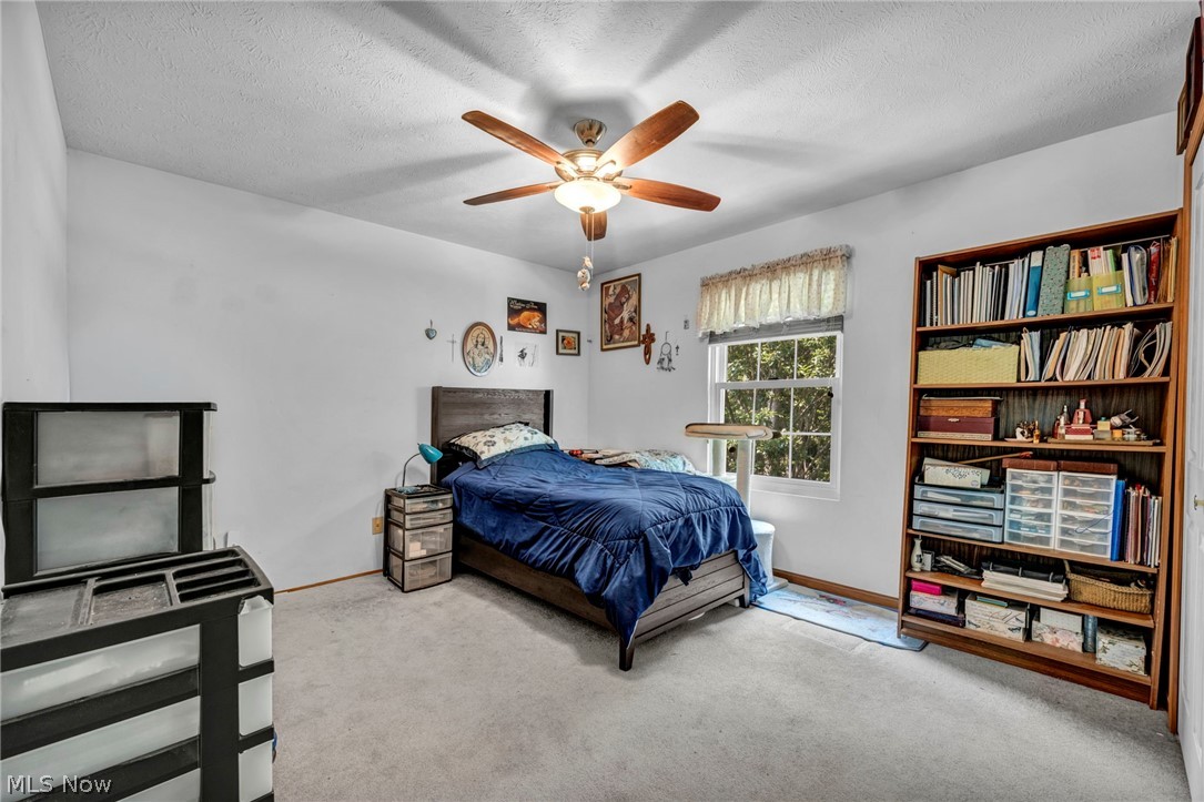 24291 Rushmore Drive Richmond Heights OH 44143