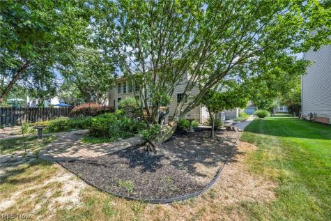24291 Rushmore Drive Richmond Heights OH 44143