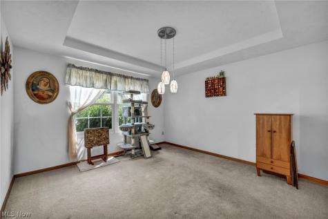 24291 Rushmore Drive Richmond Heights OH 44143