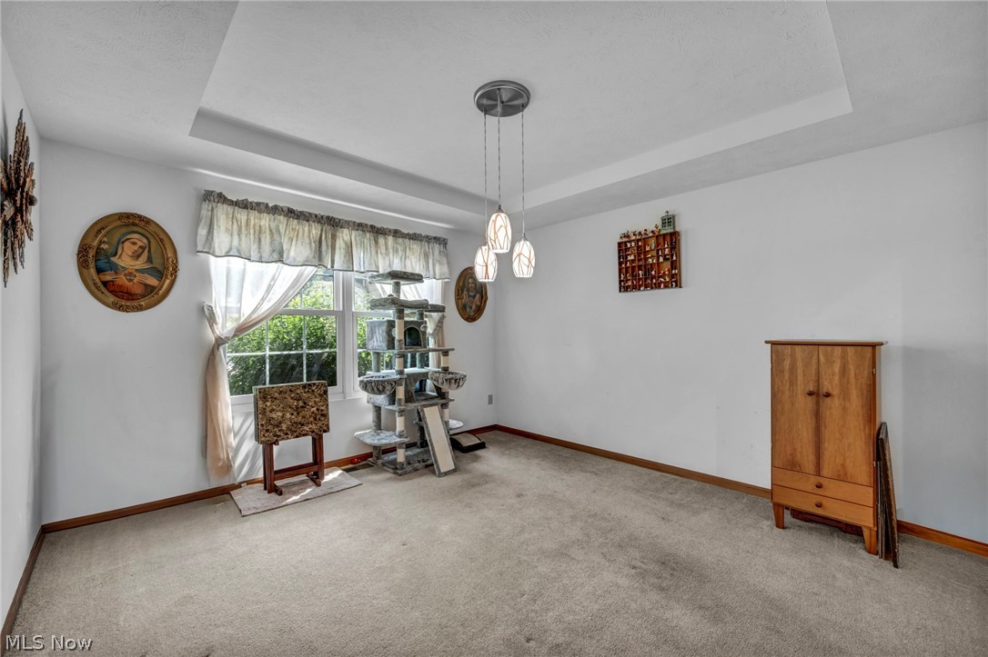 24291 Rushmore Drive Richmond Heights OH 44143