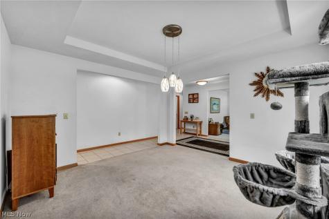 24291 Rushmore Drive Richmond Heights OH 44143