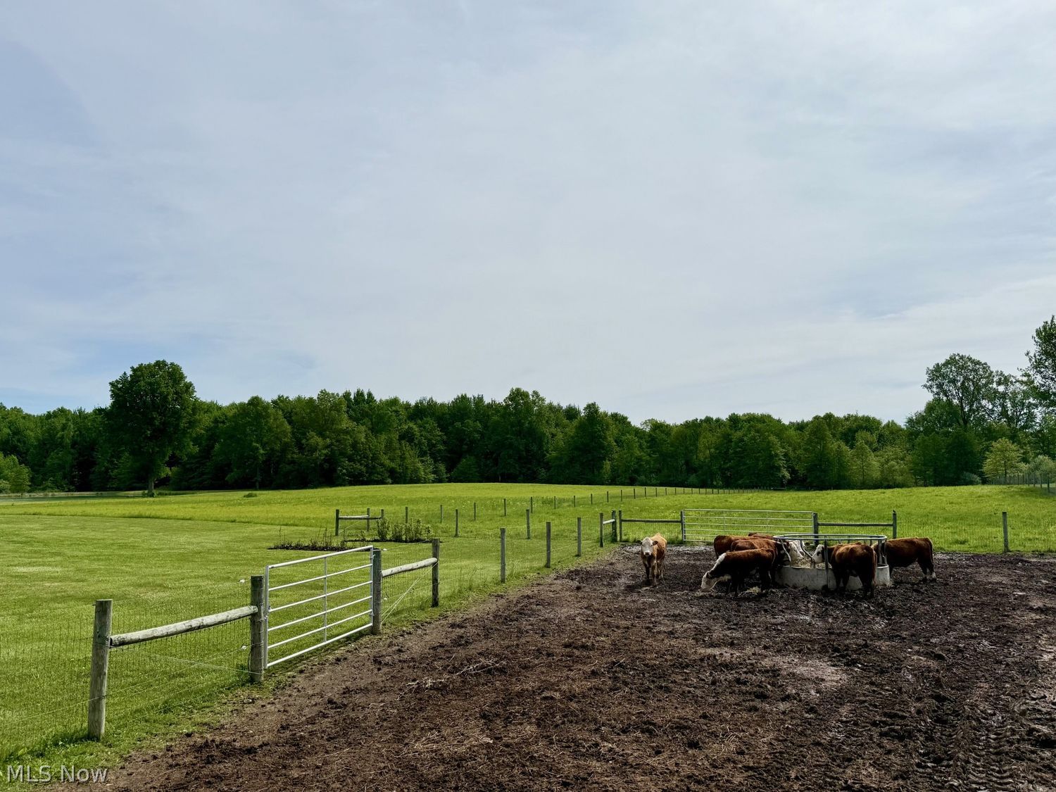 439 State Route 58 Sullivan OH 44880