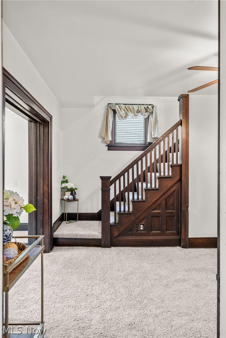 244 N Park Avenue Alliance OH 44601