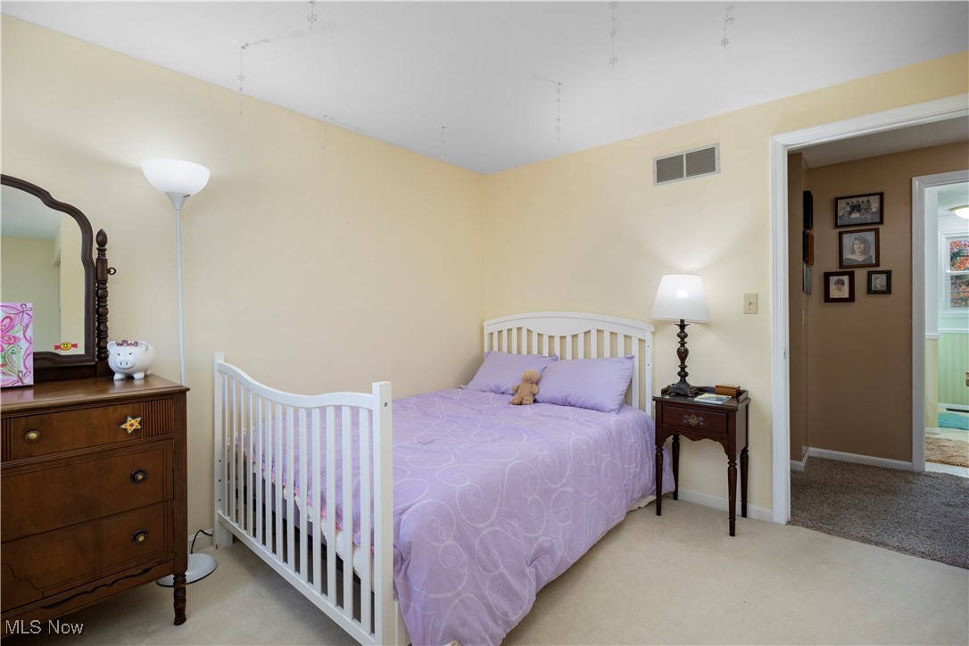 2574 Sourek Road Akron OH 44333