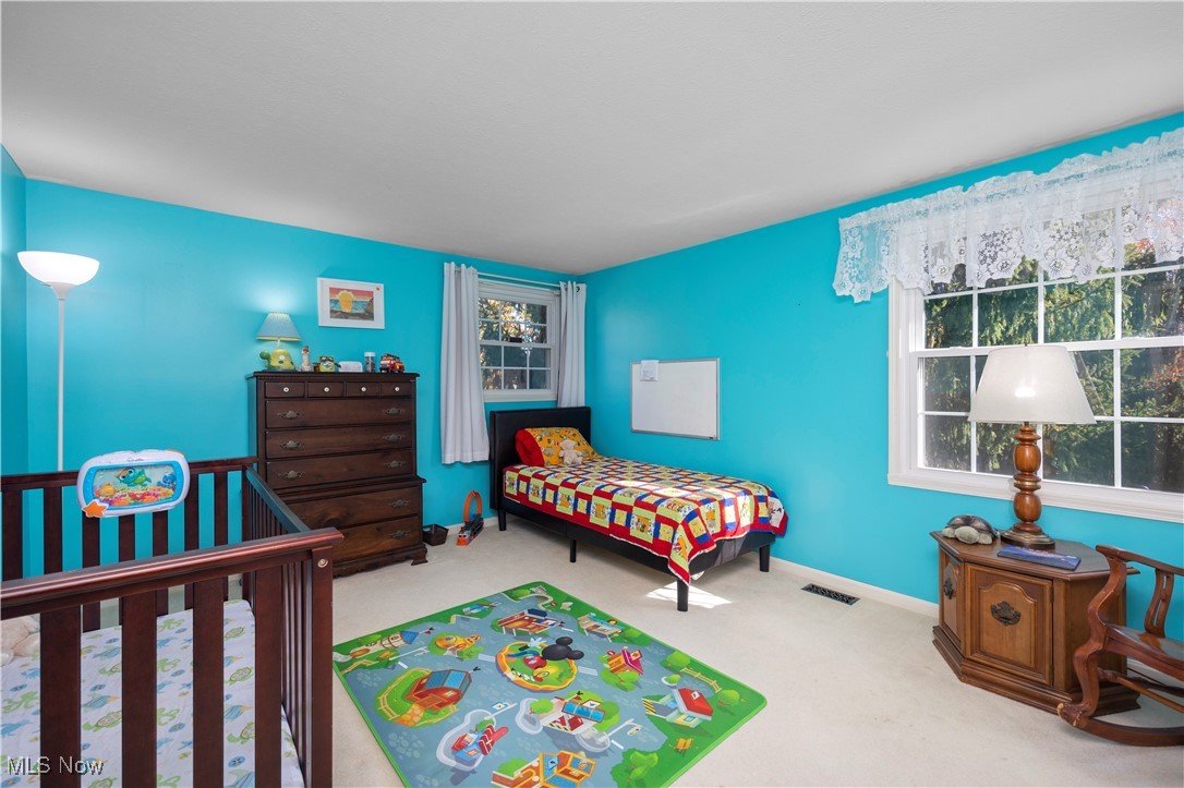 2574 Sourek Road Akron OH 44333