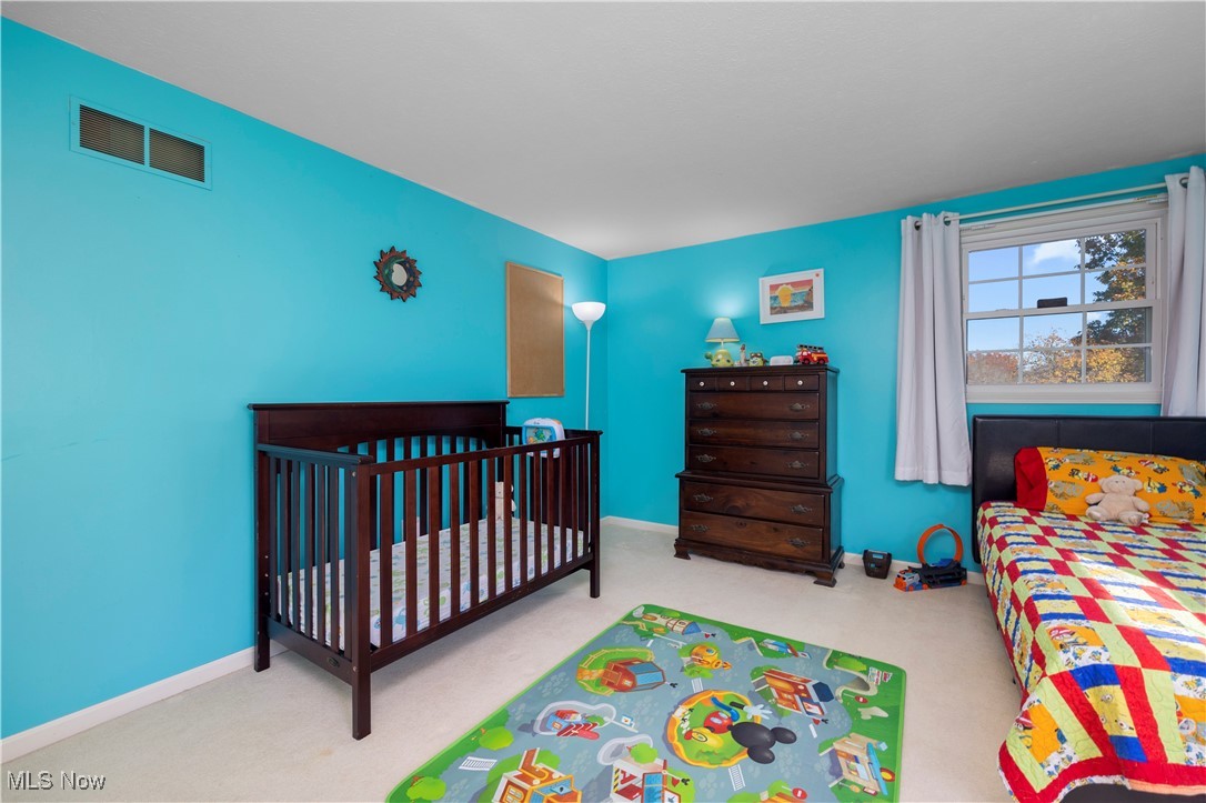 2574 Sourek Road Akron OH 44333