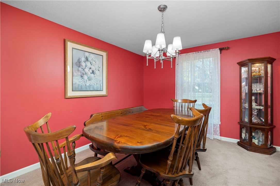 2574 Sourek Road Akron OH 44333