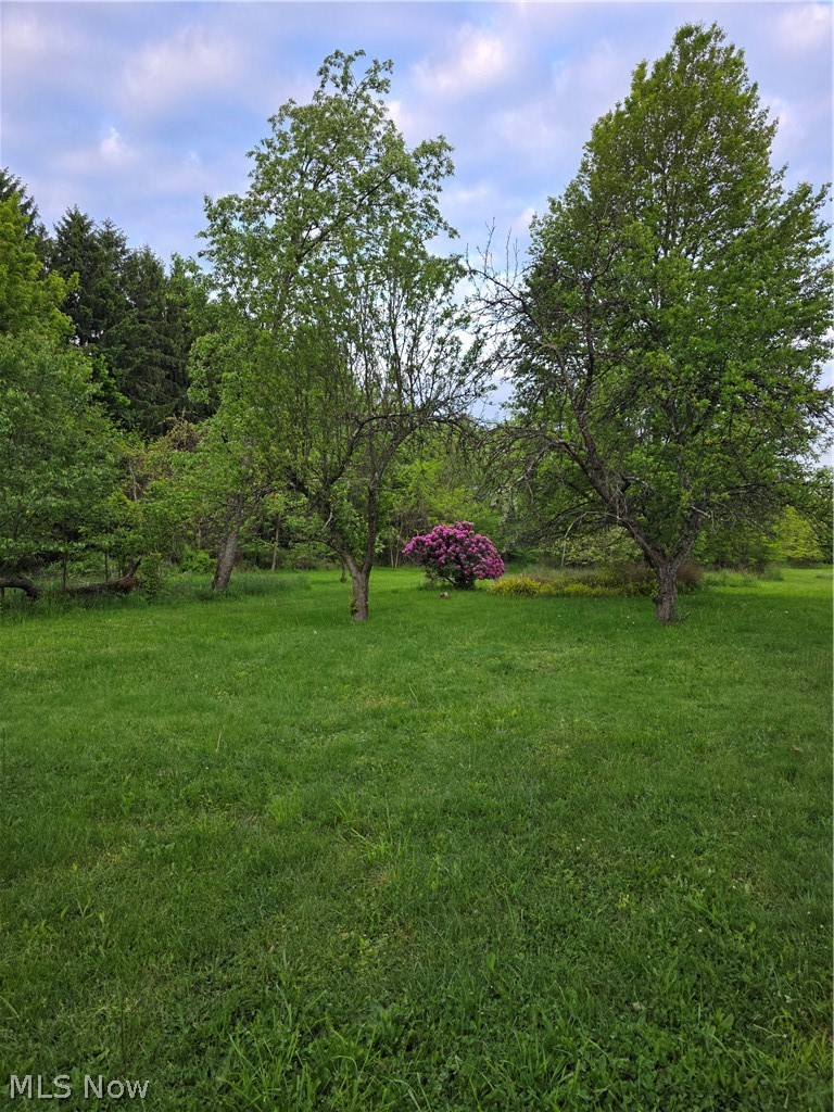 1944 Turkeyfoot Lake Road Barberton OH 44203