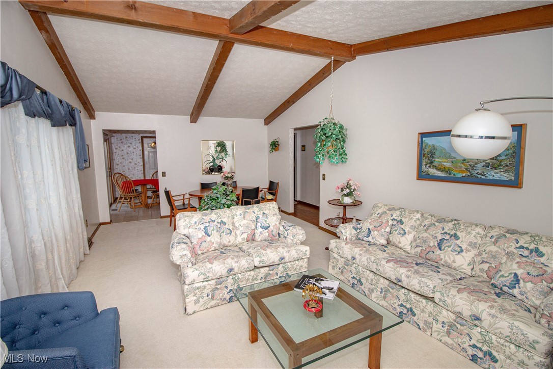 40 Squires Court Medina OH 44256