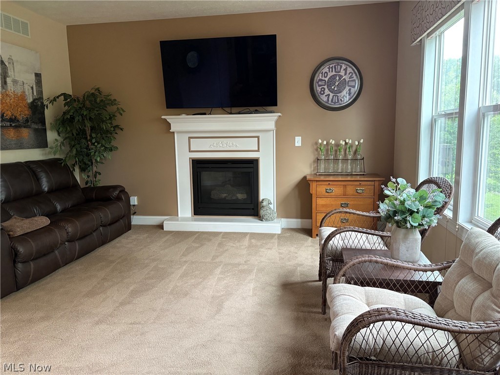 147 Quartz Avenue Peninsula OH 44264