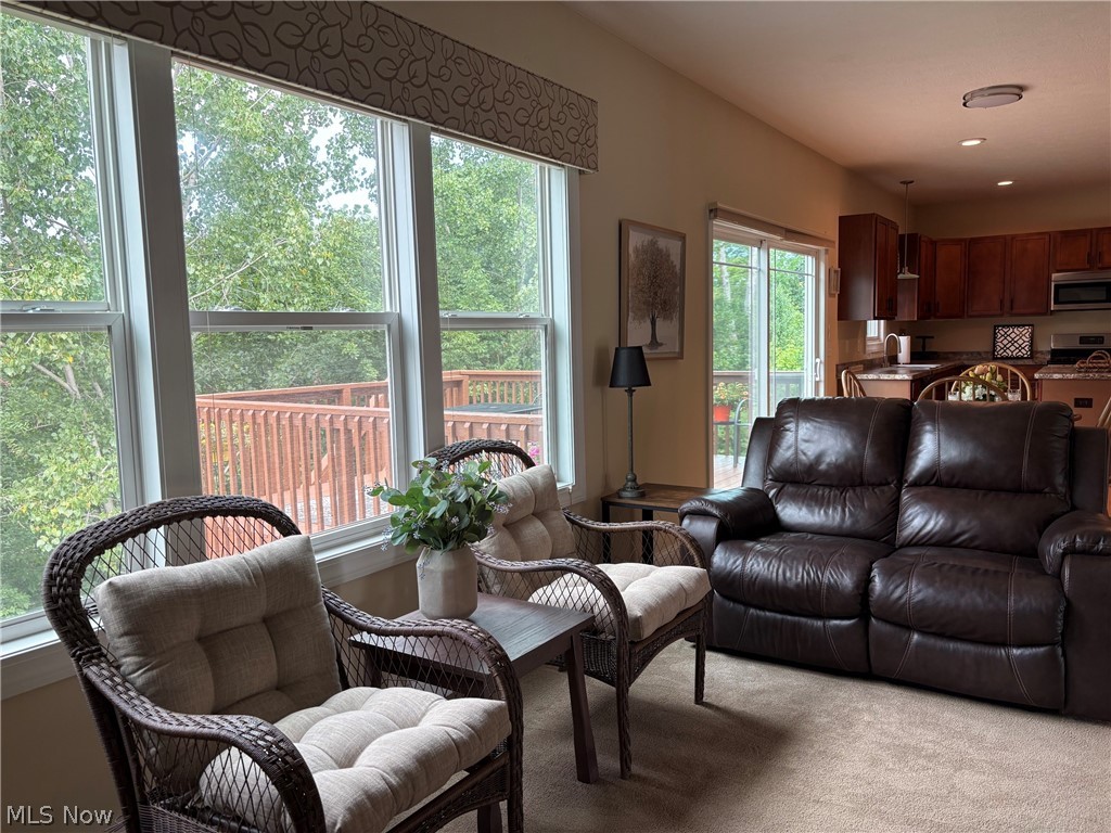 147 Quartz Avenue Peninsula OH 44264