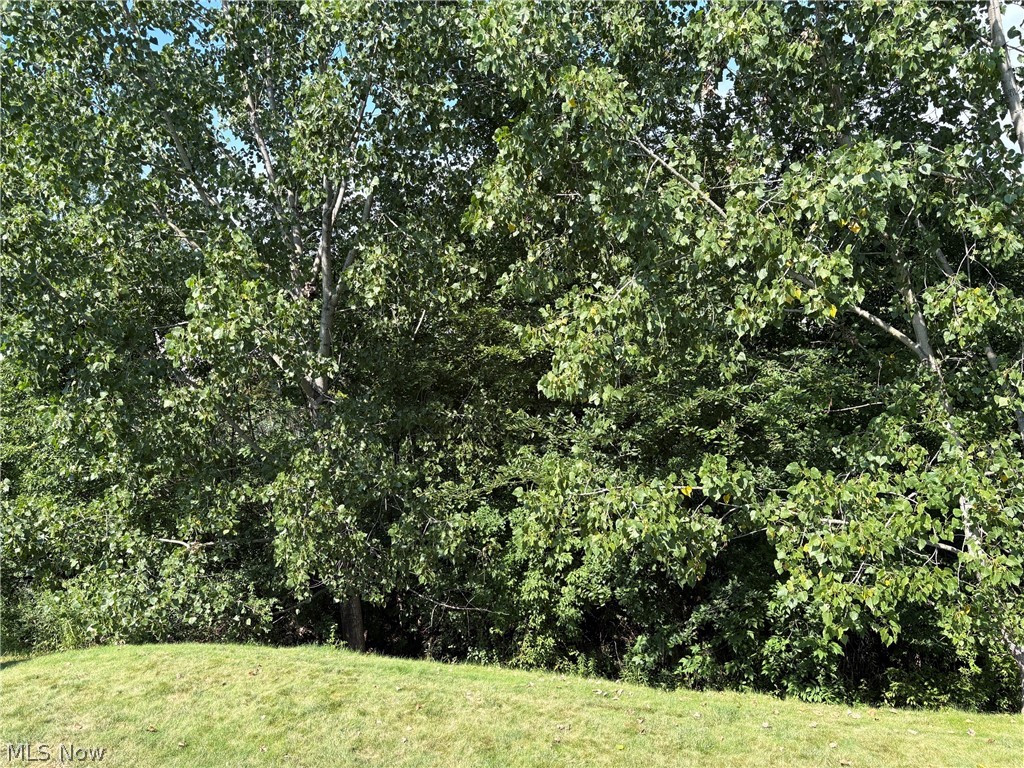 147 Quartz Avenue Peninsula OH 44264