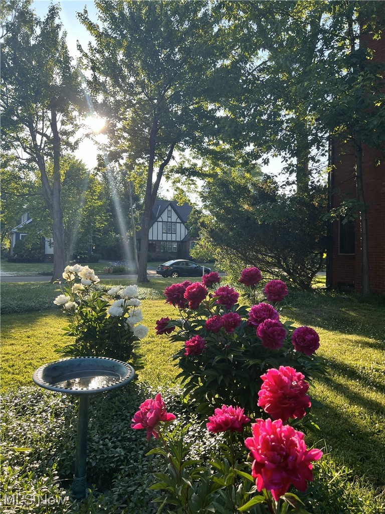 2399 Edgerton Road University Heights OH 44118