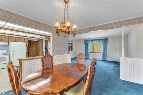 1913 Alcott Lane Brunswick OH 44212