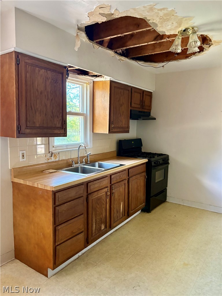 26930 Oriole Avenue Euclid OH 44132