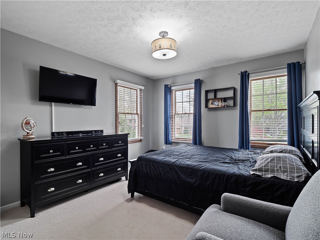 718 Wedgewood Drive Avon Lake OH 44012