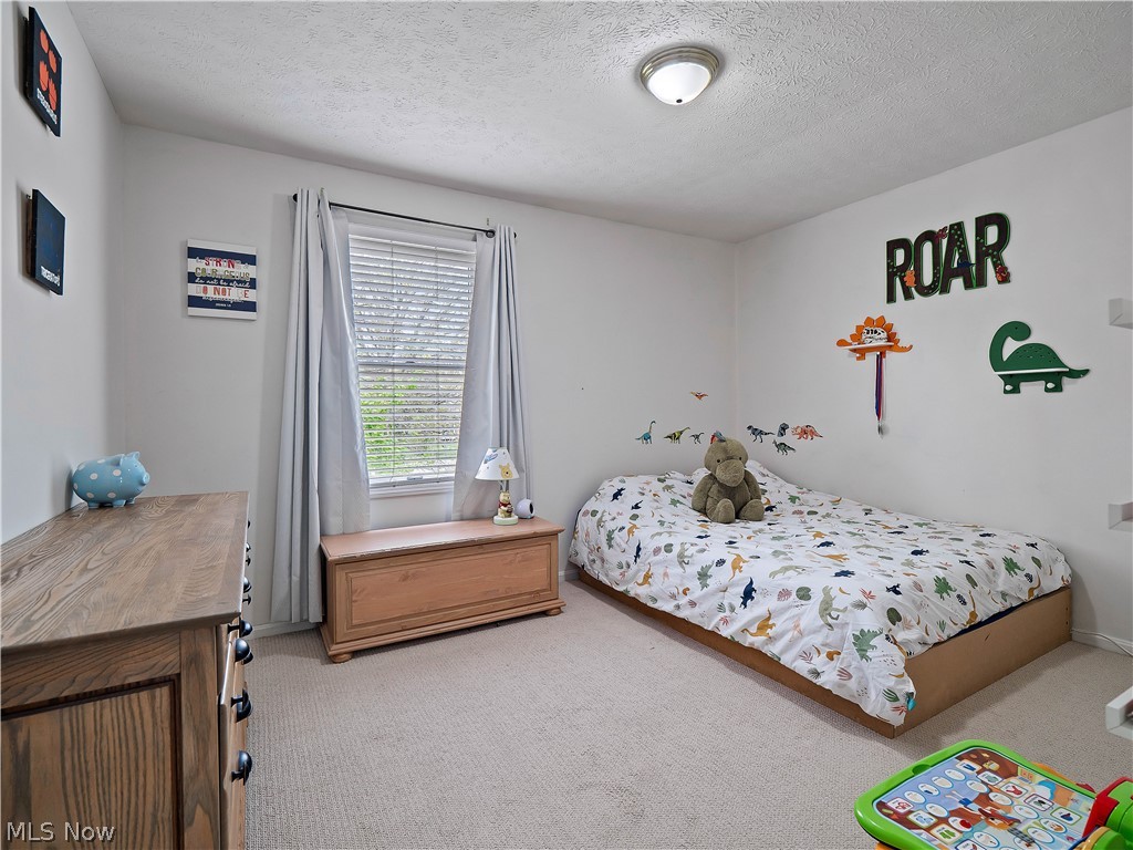 718 Wedgewood Drive Avon Lake OH 44012