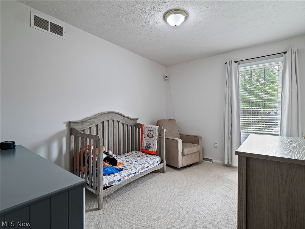 718 Wedgewood Drive Avon Lake OH 44012