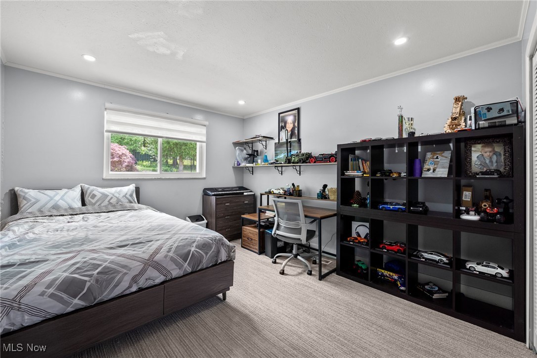 1733 Jo Ann Drive Parma OH 44134