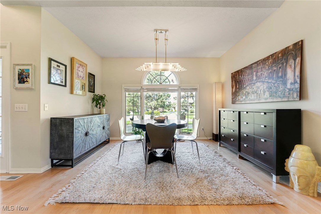 197 Raleigh Court Aurora OH 44202