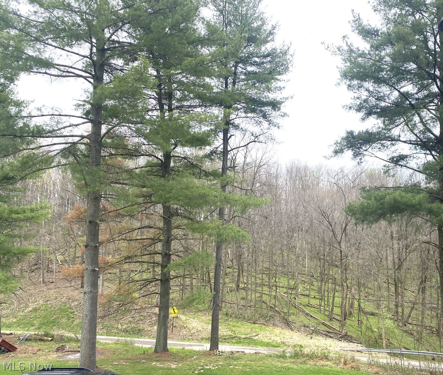 90900 Plum Run Road Bowerston OH 44695