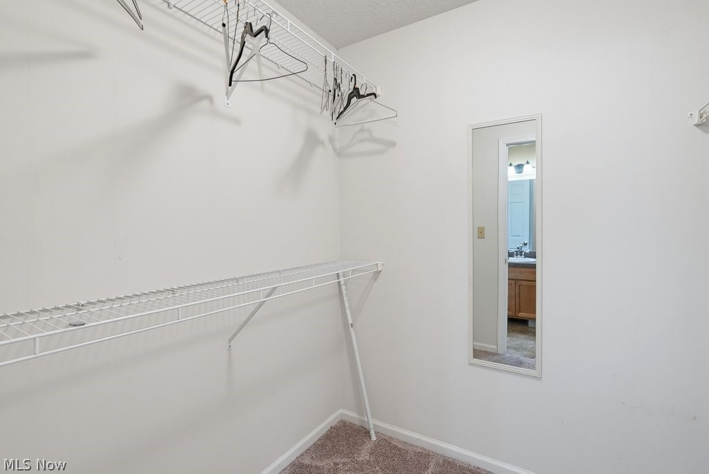 16821 Hinsdale Court Middleburg Heights OH 44130