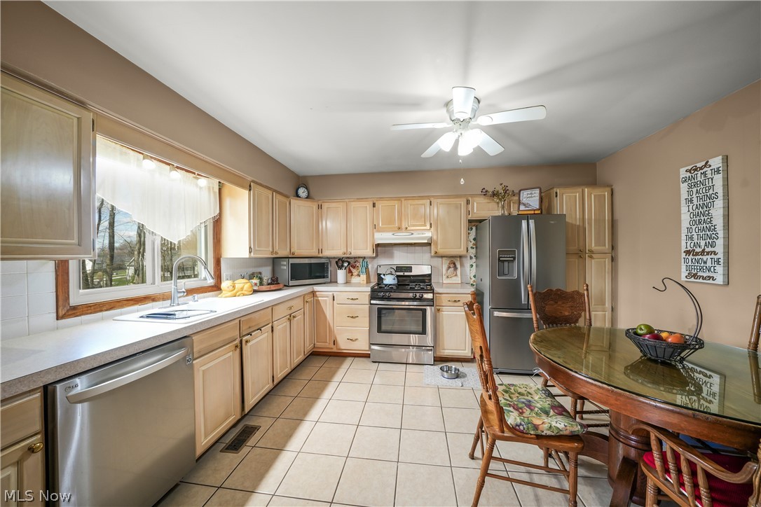447 Spring Grove Drive Tallmadge OH 44278