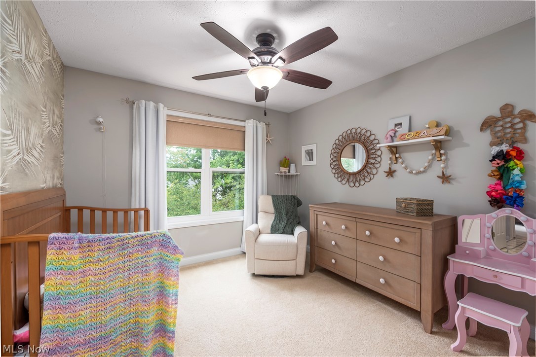 1374 Apple Valley Court Broadview Heights OH 44147