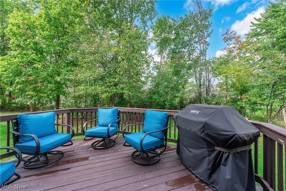 1374 Apple Valley Court Broadview Heights OH 44147