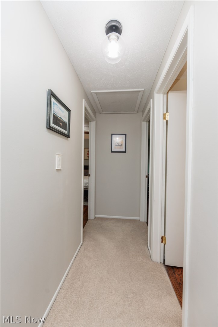 7724 Ohio Street Mentor OH 44060
