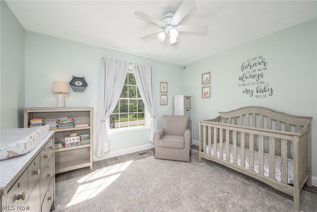 2942 Robert Gary Court Medina OH 44256
