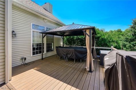2942 Robert Gary Court Medina OH 44256