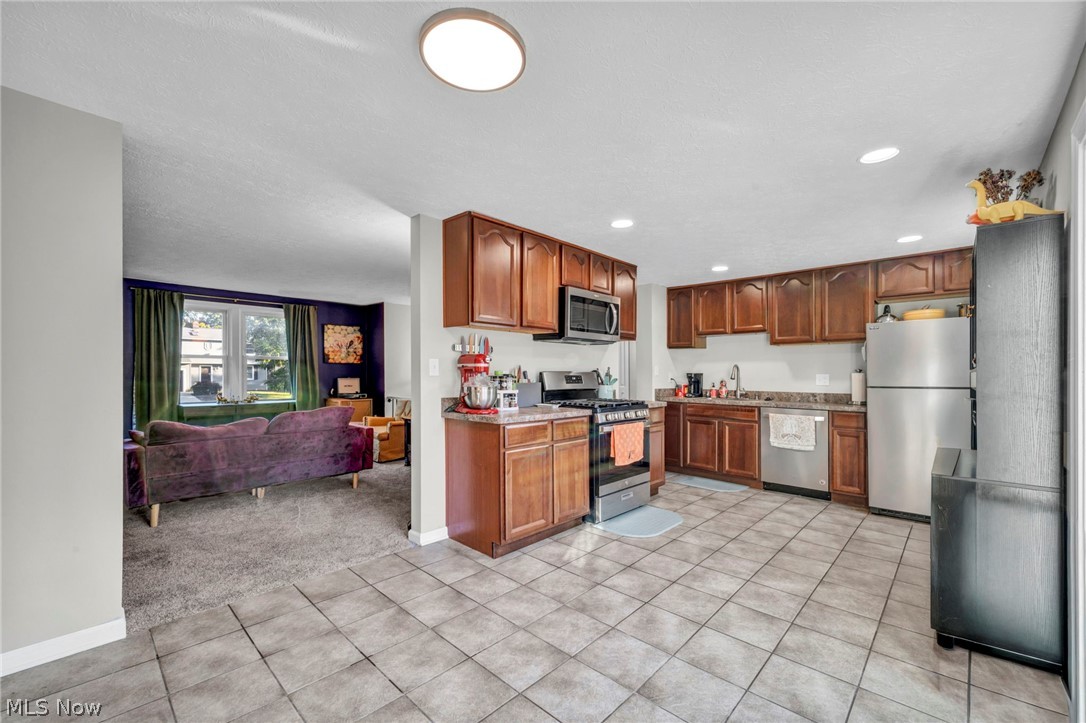 22266 Lorraine Drive Strongsville OH 44149