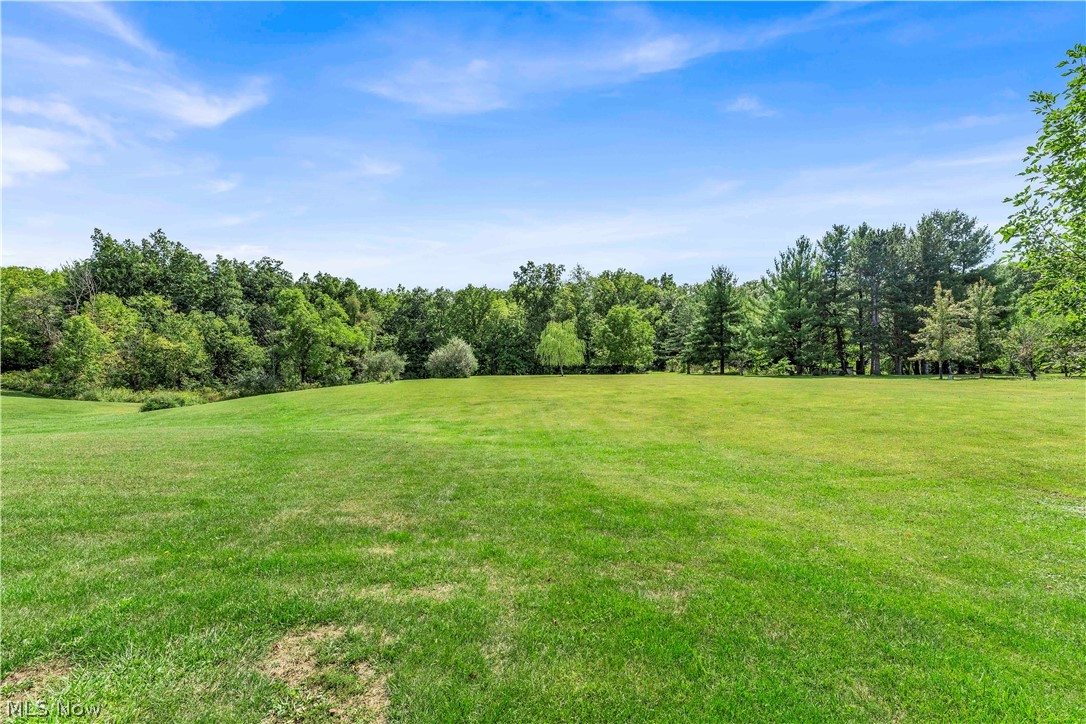 22551 Indian Hollow Road Wellington OH 44090