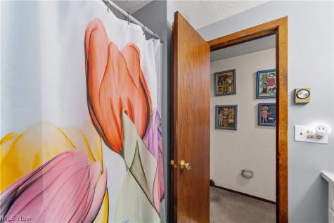 129 Hidden Tree Lane Amherst OH 44001