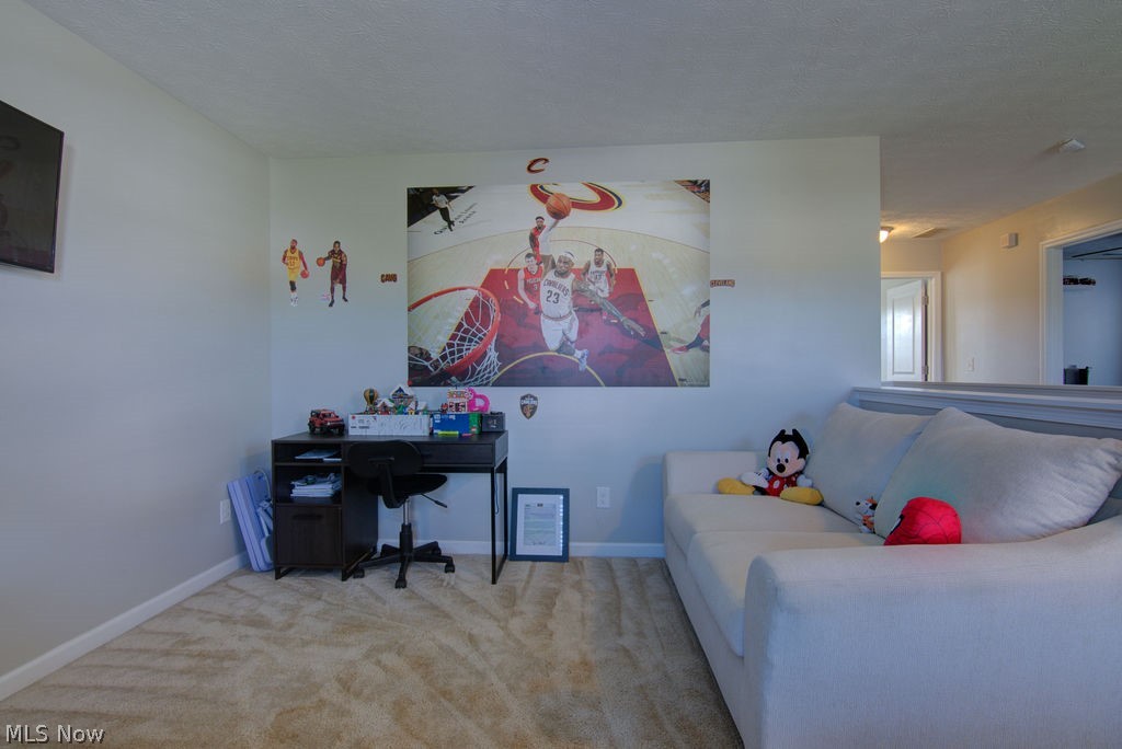 10399 Fox Hollow Circle Twinsburg OH 44087